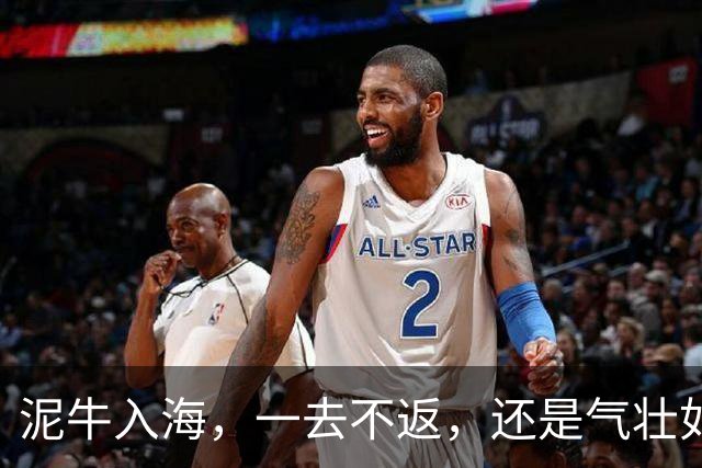 泥牛入海，一去不返，还是气壮如牛，卷土重来？这些新星给出了答案
